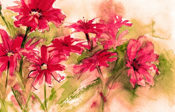 دسته گل تابستانی زیبا با آبرنگ با شکوفه قرمز نقاشی کارت پستال کاغذ دیواری پس زمینه پارچه پوستر