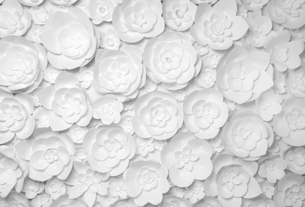 گل های کاغذی سفید در پس زمینه سفید