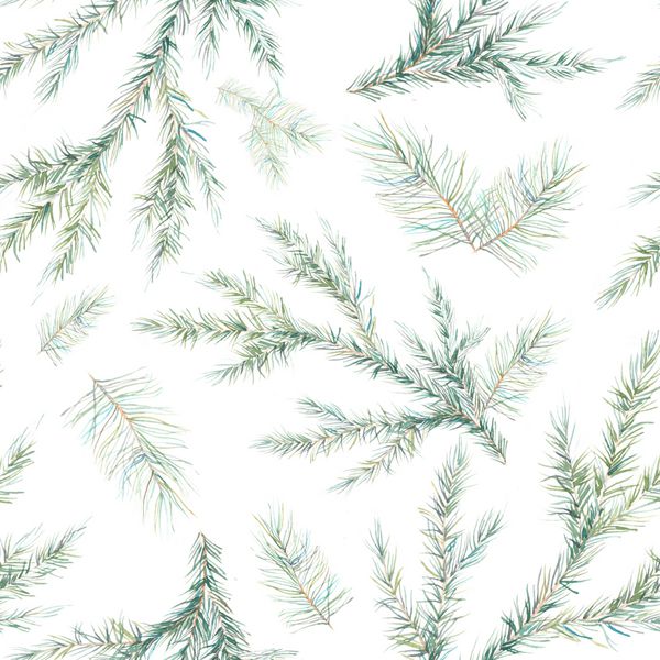 الگوی بدون درز شاخه های درخت کریسمس آبرنگ بافت نقاشی شده با دست با عناصر طبیعی سوزنی صنوبر جدا شده در زمینه سفید کاغذ دیواری زمستانی
