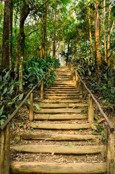 پلکان ساخته شده با پله های چوبی در پارکی در سائوپائولو برزیل