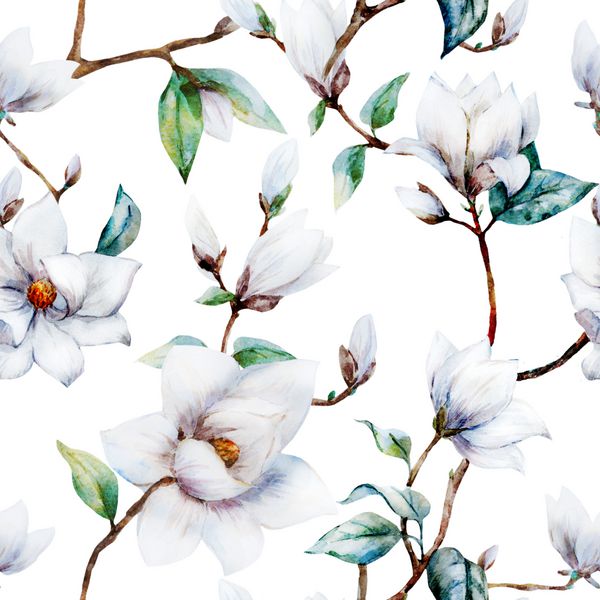 الگوی آبرنگ گل ماگنولیا مگنولیا سفید الگوی قدیمی بدون درز
