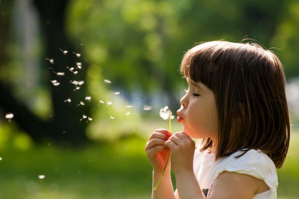 کودک زیبا با گل قاصدک در پارک بهار بچه شاد در حال تفریح در فضای باز