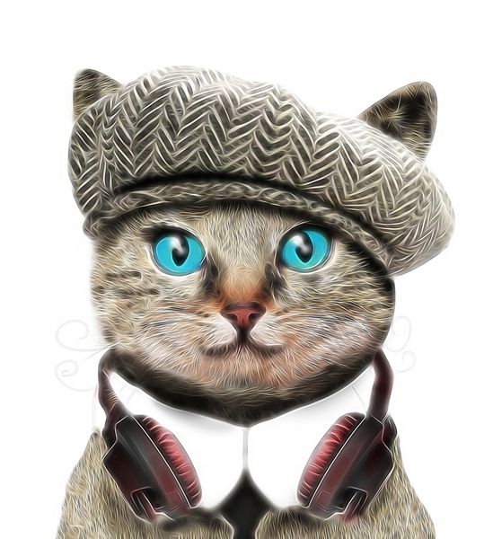 گربه خنده دار گرافیک تی شرت چاپ گربه تصاویر کتاب برای کودکان شخصیت کارتونی هنر کودکان عشق به حیوانات تصویر کودکان برای کتاب های مدرسه و موارد دیگر