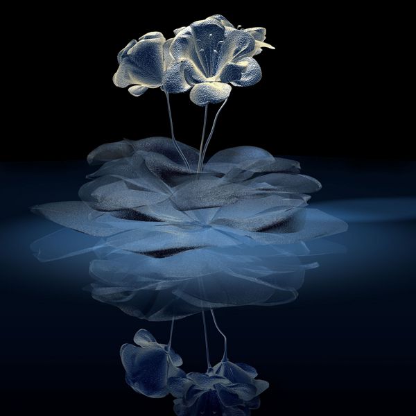 گل های شیشه ای سه بعدی