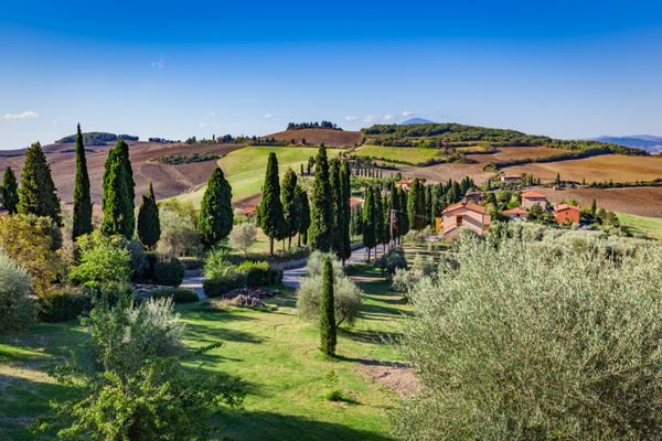 منظره حومه توسکانی با درختان سرو مزارع و مزارع سبز ایتالیا نمایی از monticchiello