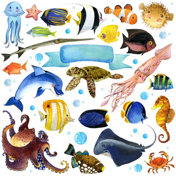ست آبرنگ ماهی دریایی unus فون دریا تم دریایی آبرنگ مجموعه دنیای زیر آب تصویر آبرنگ ماهی عجیب و غریب برای کودکان