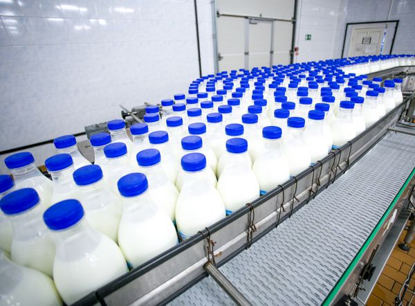 کارخانه لبنیات نوار نقاله با بطری های شیر