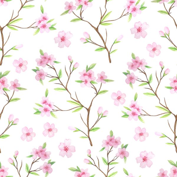 الگوی بدون درز با گل و شاخه های گیلاس آبرنگ نقاشی شده با دست پس زمینه شکوفه های گیلاس بهاری در رنگ های ظریف صورتی و سبز مناسب برای دکور عروسی یا پارچه پارچه ای