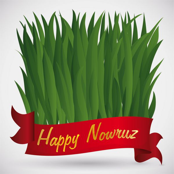 علف تازه گندم پشت روبان قرمز یا سبزه به سنت هفت گانه با متن تبریک طلایی برای سنت نوروز سال نو ایرانی روییده است