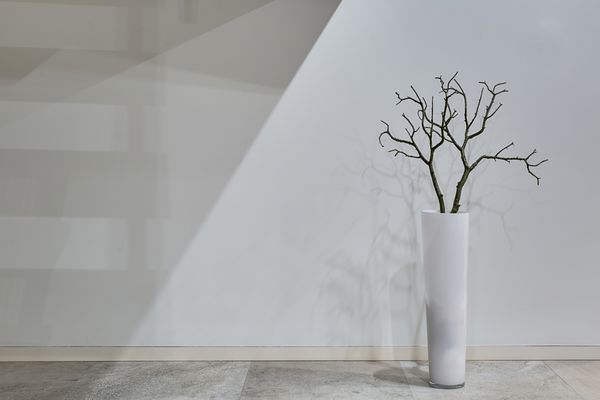 گلدان سفید با گیاه بدون برگ روی زمین در پس زمینه دیوار سفید قرار دارد گیاه روی دیوار سایه می اندازد همچنین روی دیوار سایه ای از پله ها وجود دارد افقی