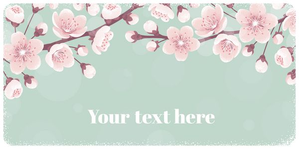بنر افقی با شکوفه های گیلاس گل های بهاری وکتور رترو لطفا برای متن شما طراحی برای دعوت نامه کارت پوستر بروشور برچسب