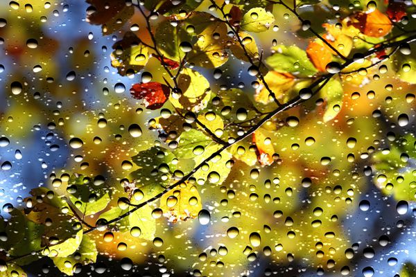 نمایی از رنگ های پاییز از شیشه پنجره پوشیده شده توسط قطرات باران