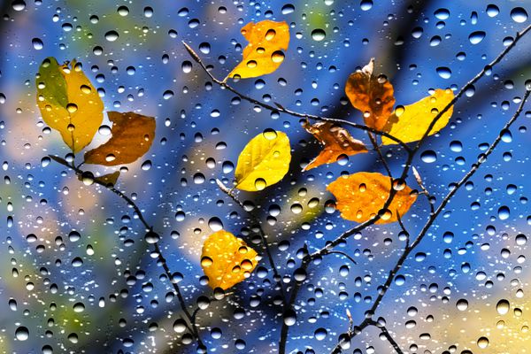 نمایی از رنگ های پاییز از شیشه پنجره پوشیده شده توسط قطرات باران