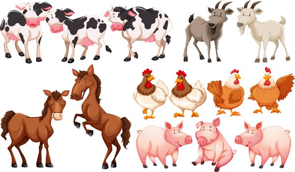 حیوانات مختلف در تصویر مزرعه