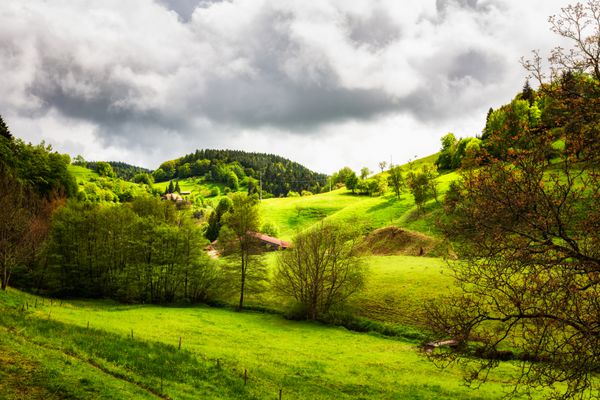 چشم انداز زیبای تپه سبز در فصل بهار جنگل سیاه شوارتزوالد آلمان مقصد سفر