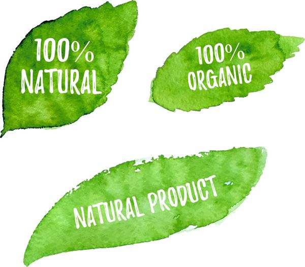 100 طبیعی محصول ارگانیک اکولوژی طراحی طبیعت وکتور برگ های آبرنگ سبز بیو برچسب محیط زیست و شکل در پس زمینه سفید مجموعه لکه های کشیده شده با دست