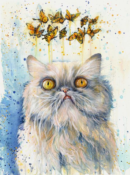 نقاشی آبرنگ رنگارنگ فانتزی از گربه ایرانی رویایی و پروانه ها
