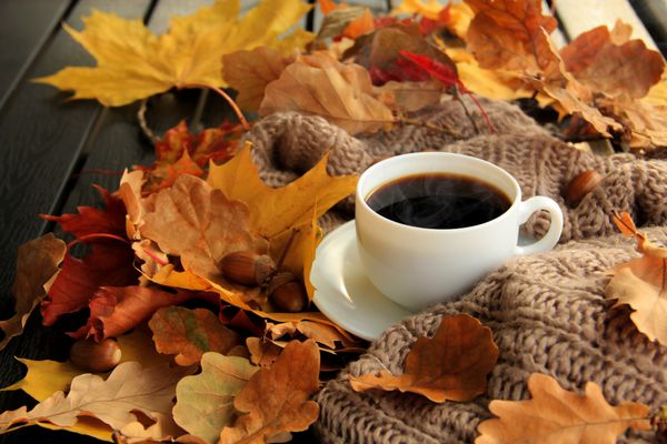 برگ های پاییزی فنجان قهوه بخارپز و روسری گرم روی پس زمینه میز چوبی فصلی قهوه صبح استراحت یکشنبه و مفهوم طبیعت بی جان