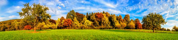 منظره پانورامای وسیع از یک چمنزار سبز با درختان رنگارنگ و آسمان آبی در پاییز
