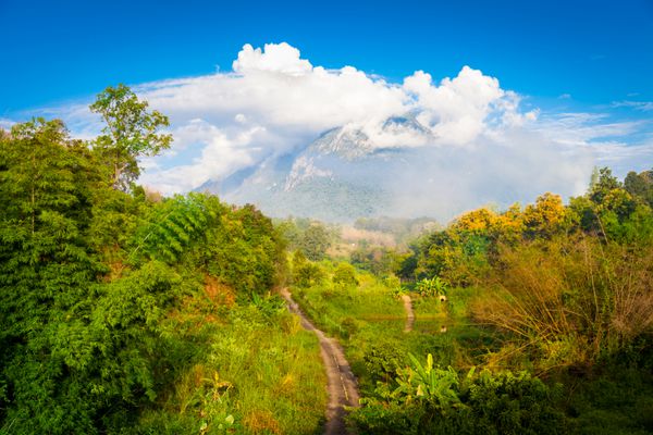 نمای زیبای صبحگاهی کوه محبوب دوی چیانگ دائو با درخت جنگل گرمسیری سبز در پس‌زمینه آسمان ابری آبی منظره بالای کوه‌ها و مه در روز آفتابی تابستان