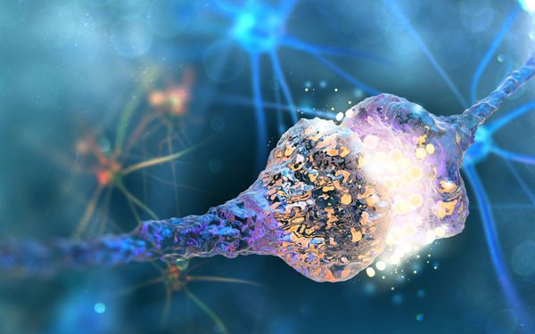 سیناپس و سلول های عصبی ارسال کننده سیگنال های شیمیایی الکتریکی تصویر سه بعدی