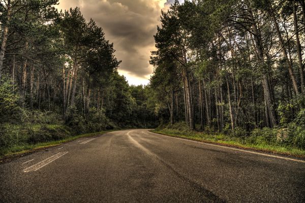 جاده ای منحنی در یک روز ابری که از جنگلی در اسپانیا می گذرد