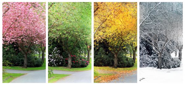 بهار تابستان پاییز و زمستان چهار فصل در یک خیابان و دقیقاً از همان مکان عکسبرداری شده است همچنین با وضوح بالا فردی موجود است
