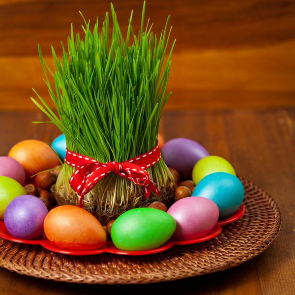 تخم مرغ رنگی بهار گندم تعطیلات نوروز در آذربایجان تمرکز انتخابی