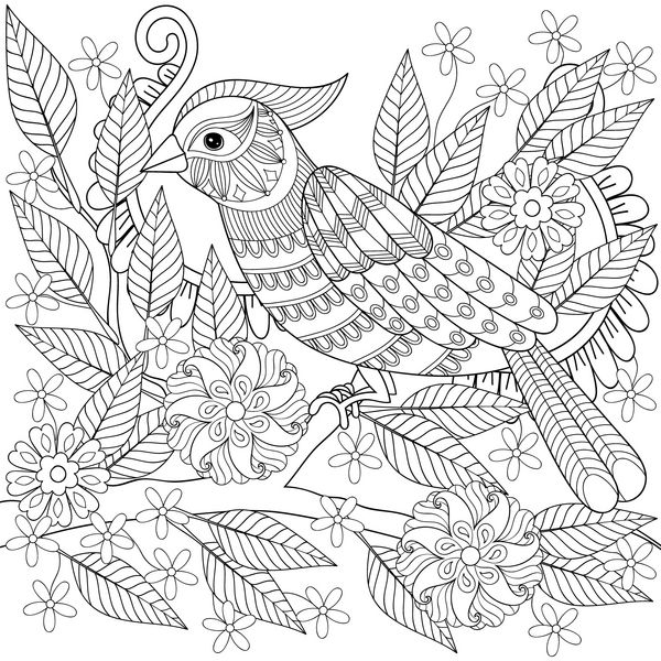 صفحه رنگ آمیزی ضد استرس بزرگسالان با پرنده گرمسیری طوطی زنتاگل با دست کشیده شده روی شاخه درخت شکوفه برای رنگ آمیزی هنر درمانی کارت تبریک عنصر تزئینی نشسته است