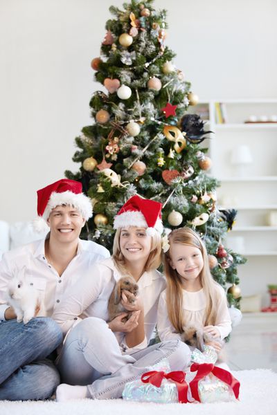 کریسمس خانوادگی در کلاه با خرگوش در خانه