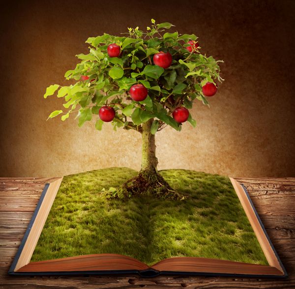 درخت دانش روییده از کتاب