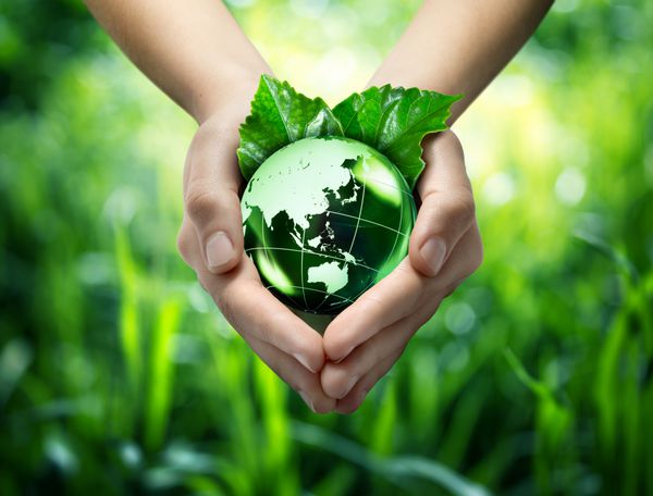 مفهوم اکولوژیکی - حفاظت از سبز جهان - شرق