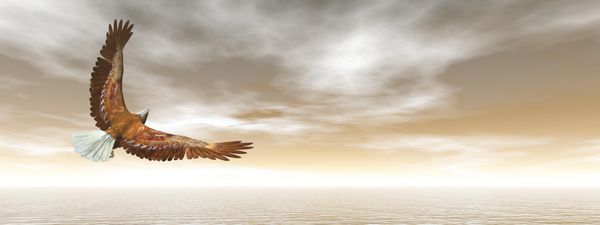 پرواز عقاب طاس - رندر سه بعدی