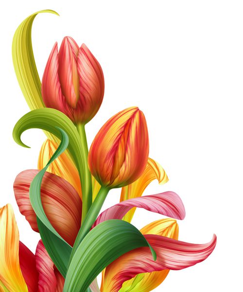 ترکیب انتزاعی با تصویر گل لاله