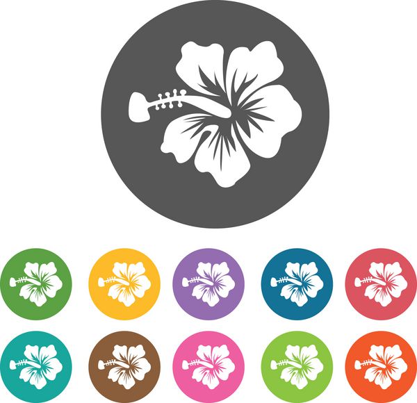 نماد هیبیسکوس مجموعه آیکون گل 12 دکمه رنگارنگ گرد Vec