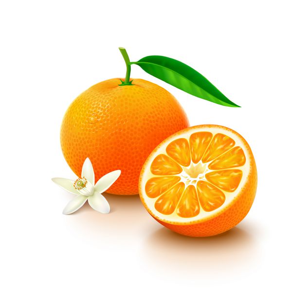میوه نارنگی با نیم و گل در زمینه سفید