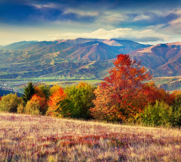 چشم انداز رنگارنگ پاییزی در کوه ها