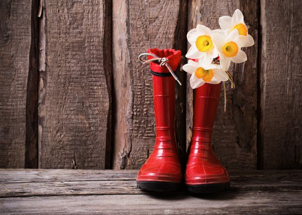 کفش باغچه قرمز کودک با گل های بهاری