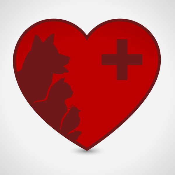 گربه و سگ قلب قرمز