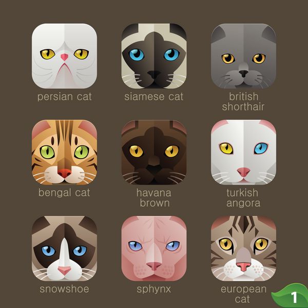 صورت حیوانات برای آیکون های برنامه- مجموعه گربه ها