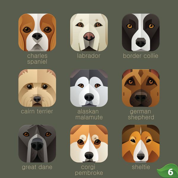 صورت حیوانات برای آیکون های برنامه-سگ مجموعه 5