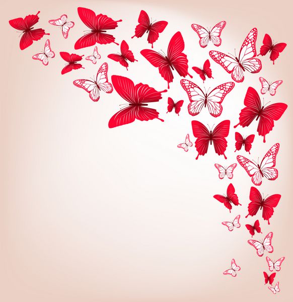 پروانه های رنگارنگ واقع بینانه ایزوله شده برای بهار