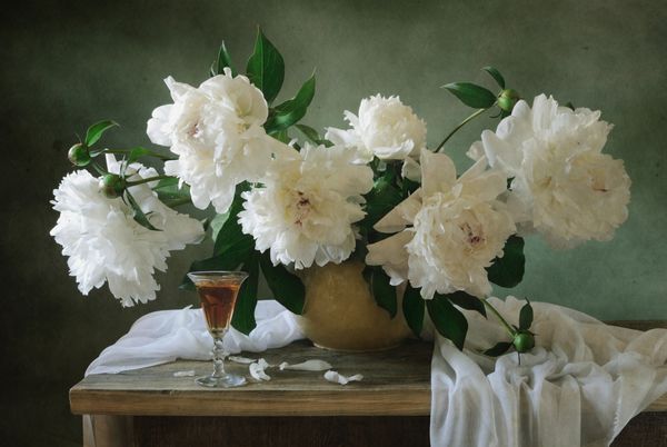 طبیعت بی جان با گل صد تومانی سفید و یک لیوان