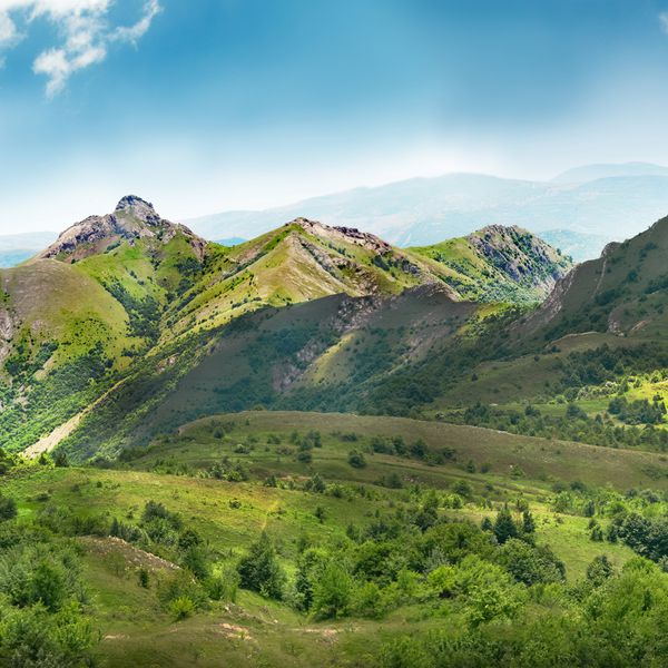 کوه سبز پوشیده از جنگل در پس زمینه آسمان آبی پانوراما