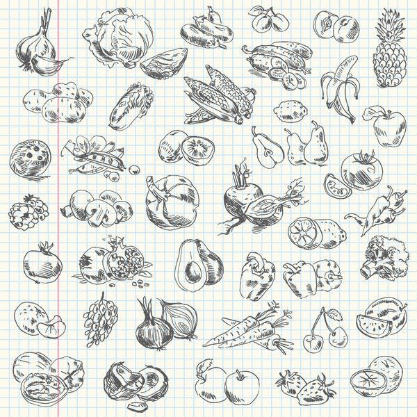 نقاشی با دست آزاد از میوه و سبزیجات روی دفترچه تمرین وکتور تنظیم