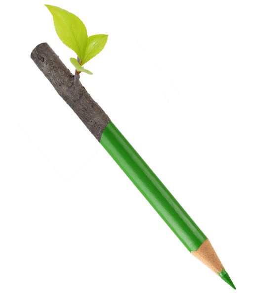 مداد سبز اکو با برگ