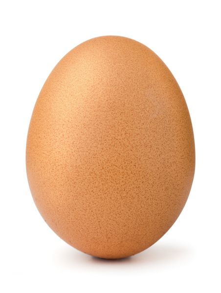 تخم مرغ قهوه ای تک جدا شده روی سفید