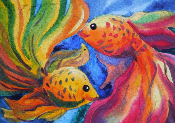نقاشی آبرنگ زوج رنگارنگ ماهی قرمز روی کاغذ