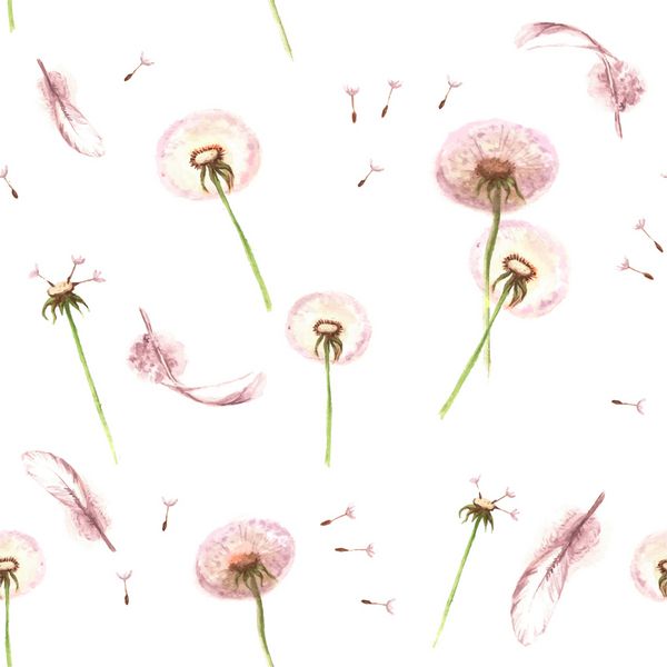 الگوی بدون درز دستی آبرنگ با پرها و گلهای بهاری - قاصدک در پس زمینه سفید