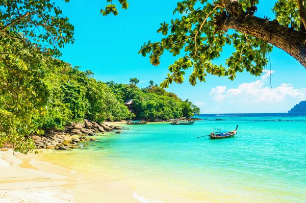 ساحل بهشتی با ماسه های طلایی درختان عجیب و غریب و آسمان آبی تایلند